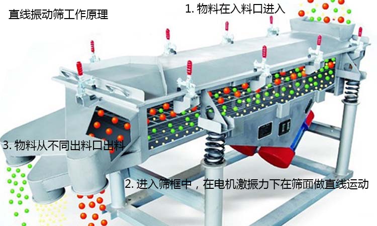 振動篩篩分原理工作圖